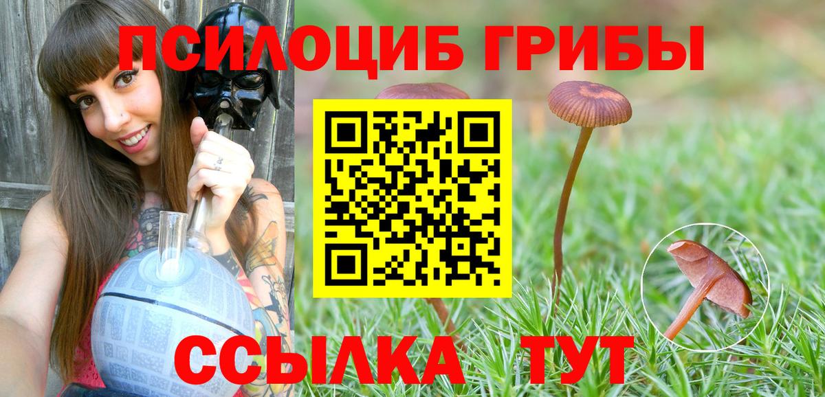Галлюциногенные грибы Psilocybe  Галлюциногенные грибы Magic Shrooms  Вход с VPN  Россия 